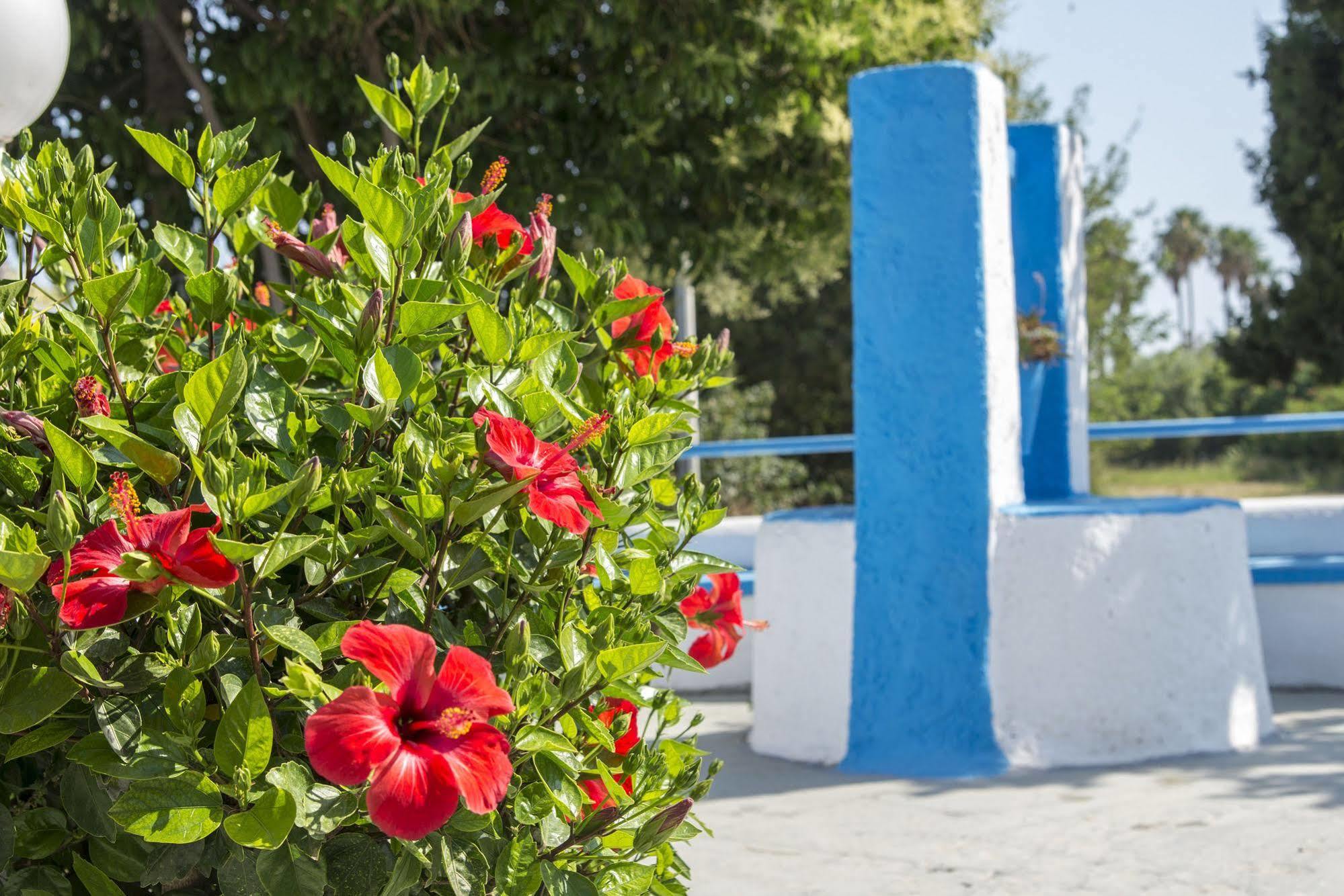 Yiannis Yard Studios & Apartments Kos Town Exterior photo