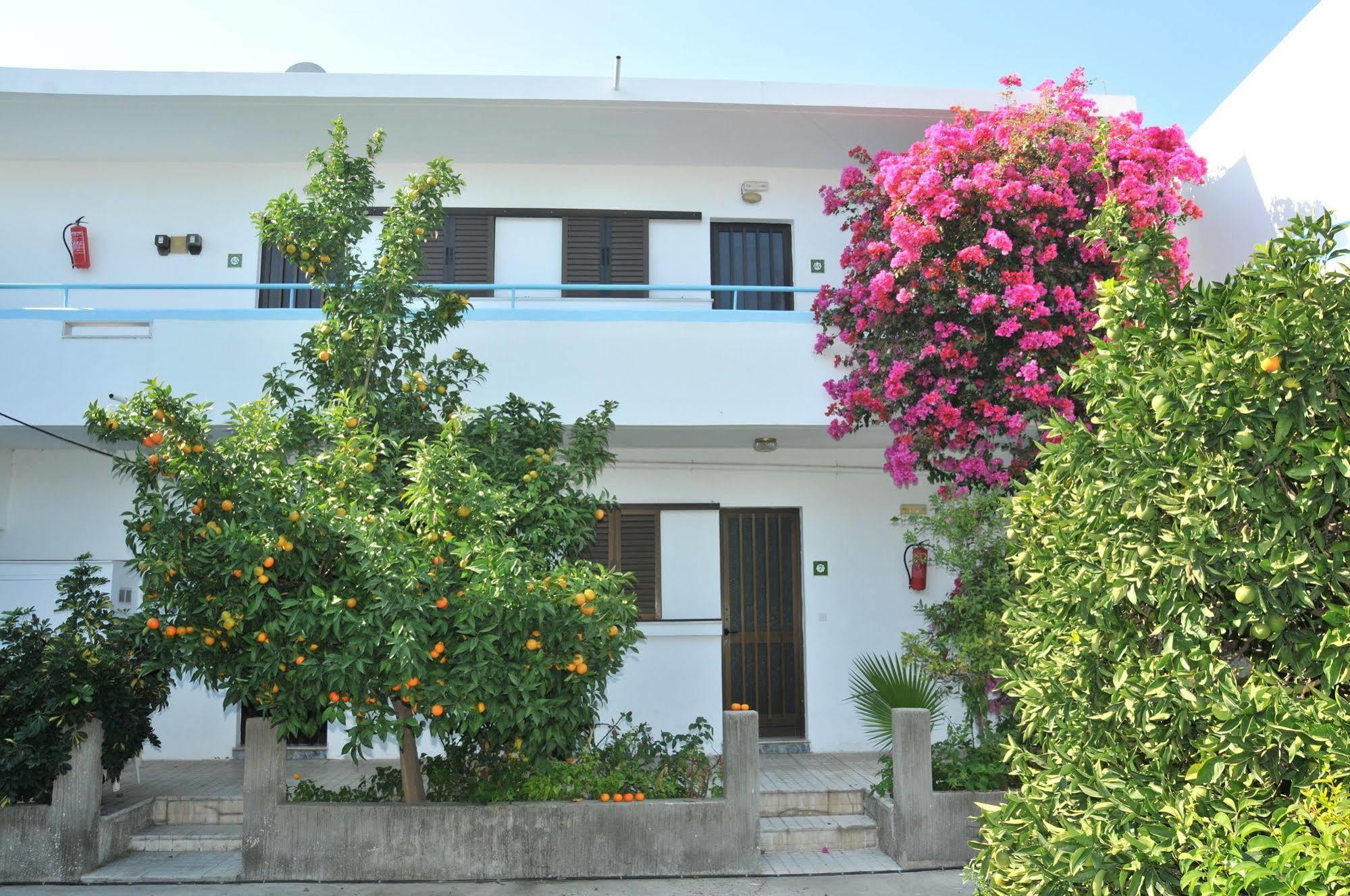 Yiannis Yard Studios & Apartments Kos Town Exterior photo